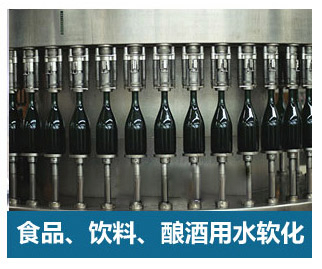 8噸/小時軟化水設(shè)備